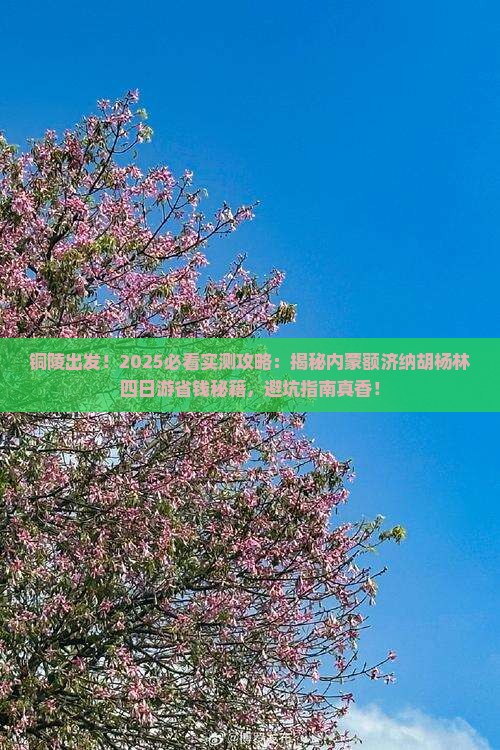 铜陵到内蒙额济纳胡杨林四日游