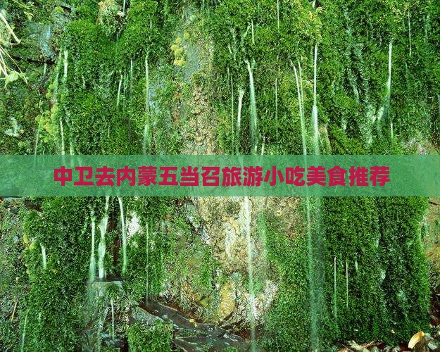 中卫去内蒙五当召旅游小吃