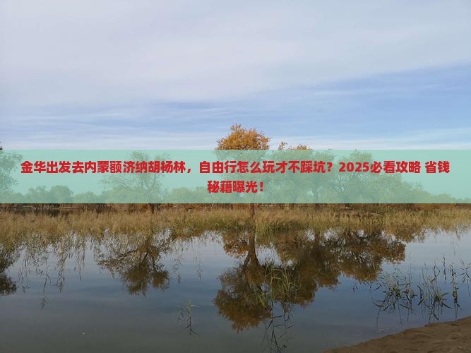 金华到内蒙额济纳胡杨林自由行