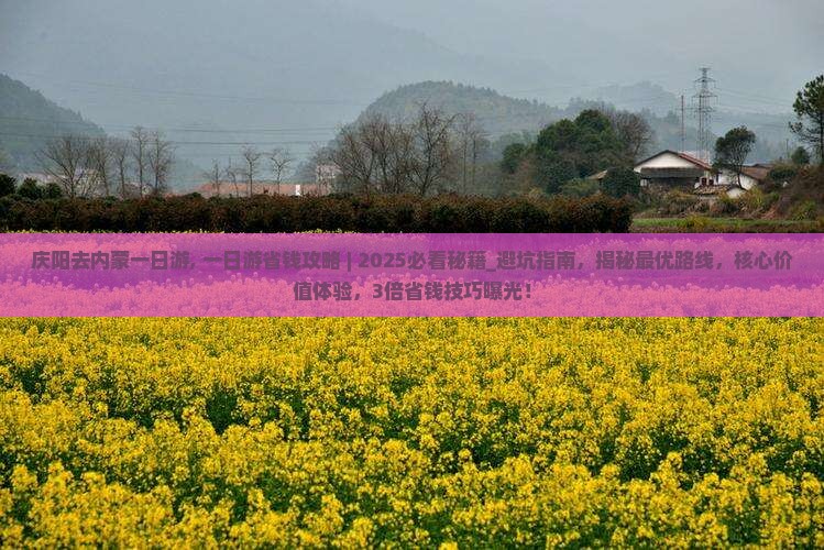 庆阳去内蒙一日游