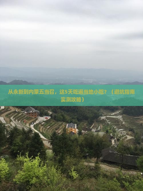 永新到内蒙五当召旅游小吃