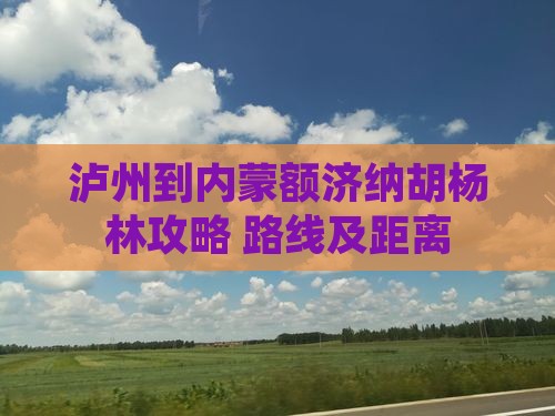 泸州到内蒙额济纳胡杨林攻略