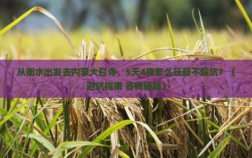衡水去内蒙大召寺旅行社