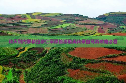 秋天到内蒙希拉穆仁草原旅游