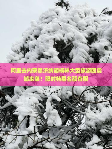 阿里去内蒙额济纳胡杨林大型旅游团