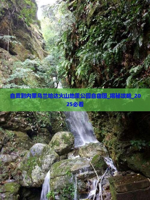 自贡到内蒙乌兰哈达火山地质公园自由团