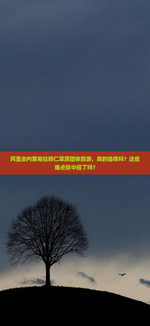 阿里去内蒙希拉穆仁草原团体旅游