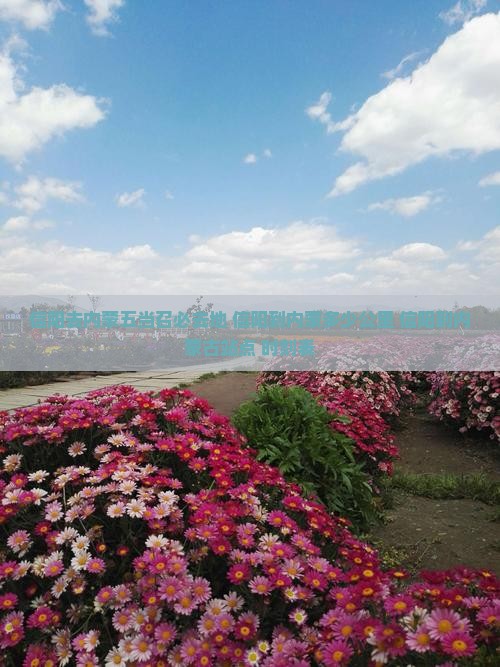 信阳去内蒙五当召必去地