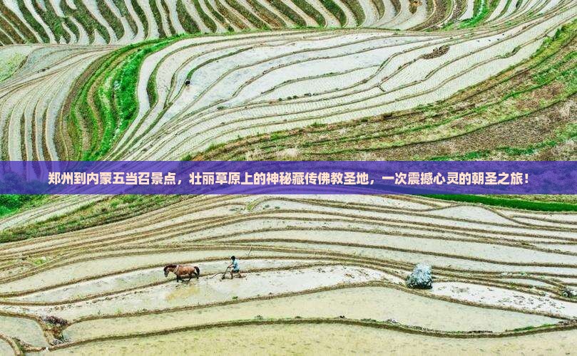 郑州到内蒙五当召景点