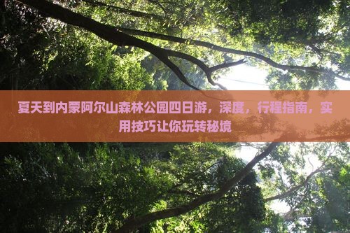 夏天到内蒙阿尔山国家森林公园四日游