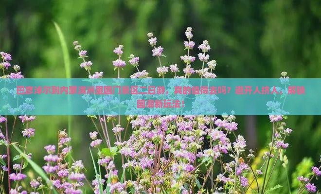 巴彦淖尔到内蒙满洲里国门景区二日游