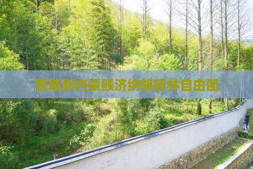 晋城到内蒙额济纳胡杨林自由团
