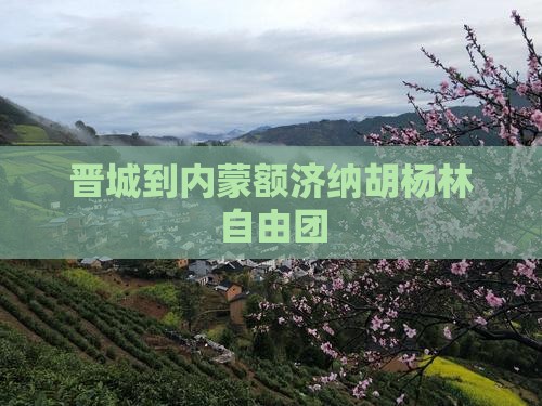 晋城到内蒙额济纳胡杨林自由团