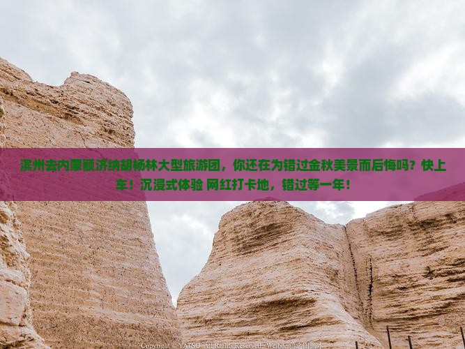 滨州去内蒙额济纳胡杨林大型旅游团