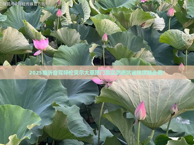 临沂到内蒙呼伦贝尔大草原门票