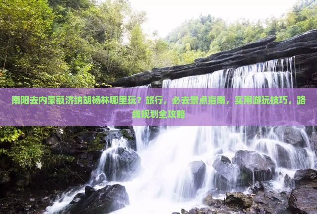 南阳去内蒙额济纳胡杨林哪里玩