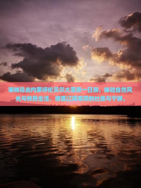 攀枝花去内蒙呼伦贝尔大草原一日游
