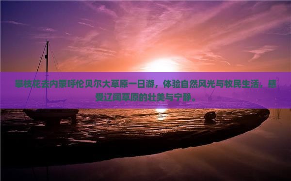 攀枝花去内蒙呼伦贝尔大草原一日游