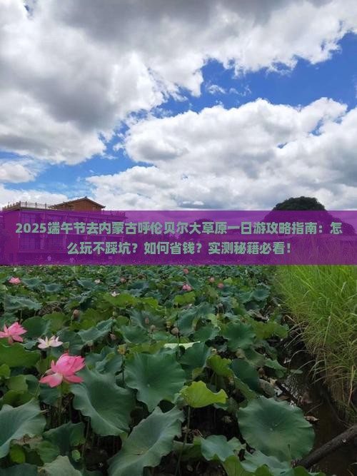端午节去内蒙呼伦贝尔大草原一日游