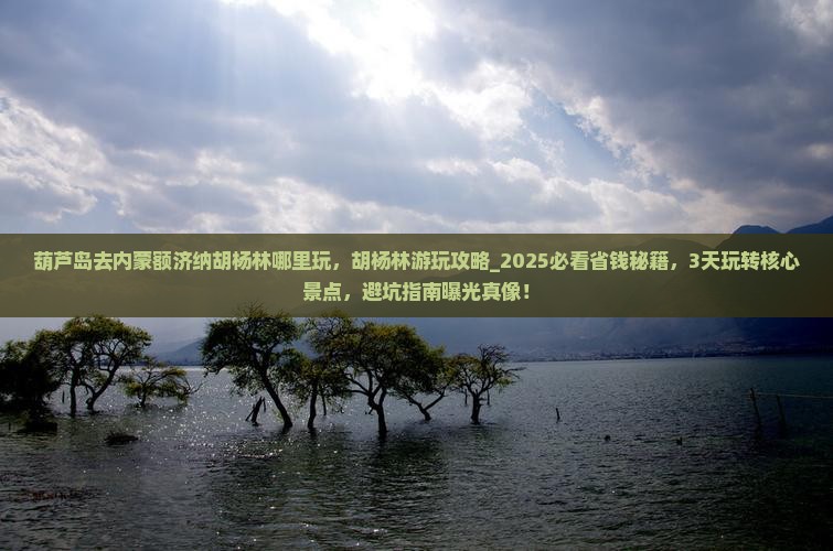葫芦岛去内蒙额济纳胡杨林哪里玩