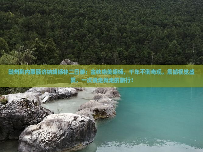 随州到内蒙额济纳胡杨林二日游