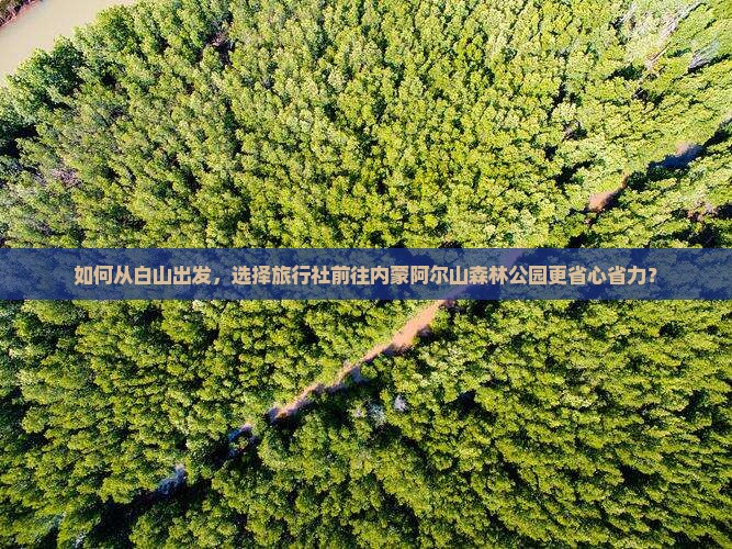 如何从白山出发，选择旅行社前往内蒙阿尔山森林公园更省心省力？