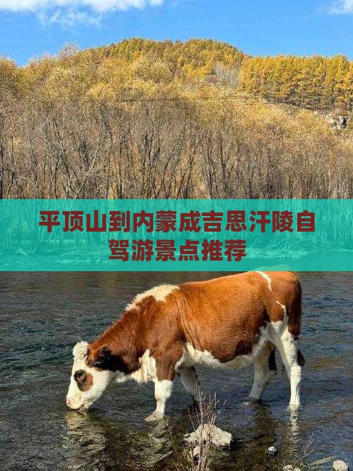 平顶山到内蒙成吉思汗陵自驾游景点推荐