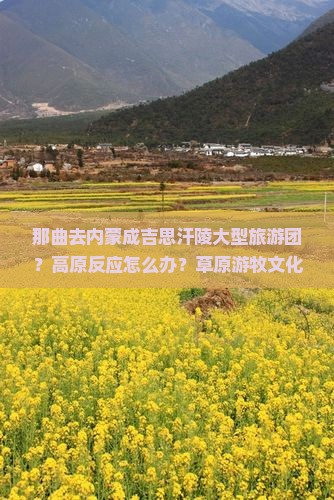 那曲去内蒙成吉思汗陵大型旅游团？高原反应怎么办？草原游牧文化深度体验游