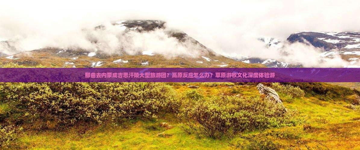 那曲去内蒙成吉思汗陵大型旅游团？高原反应怎么办？草原游牧文化深度体验游