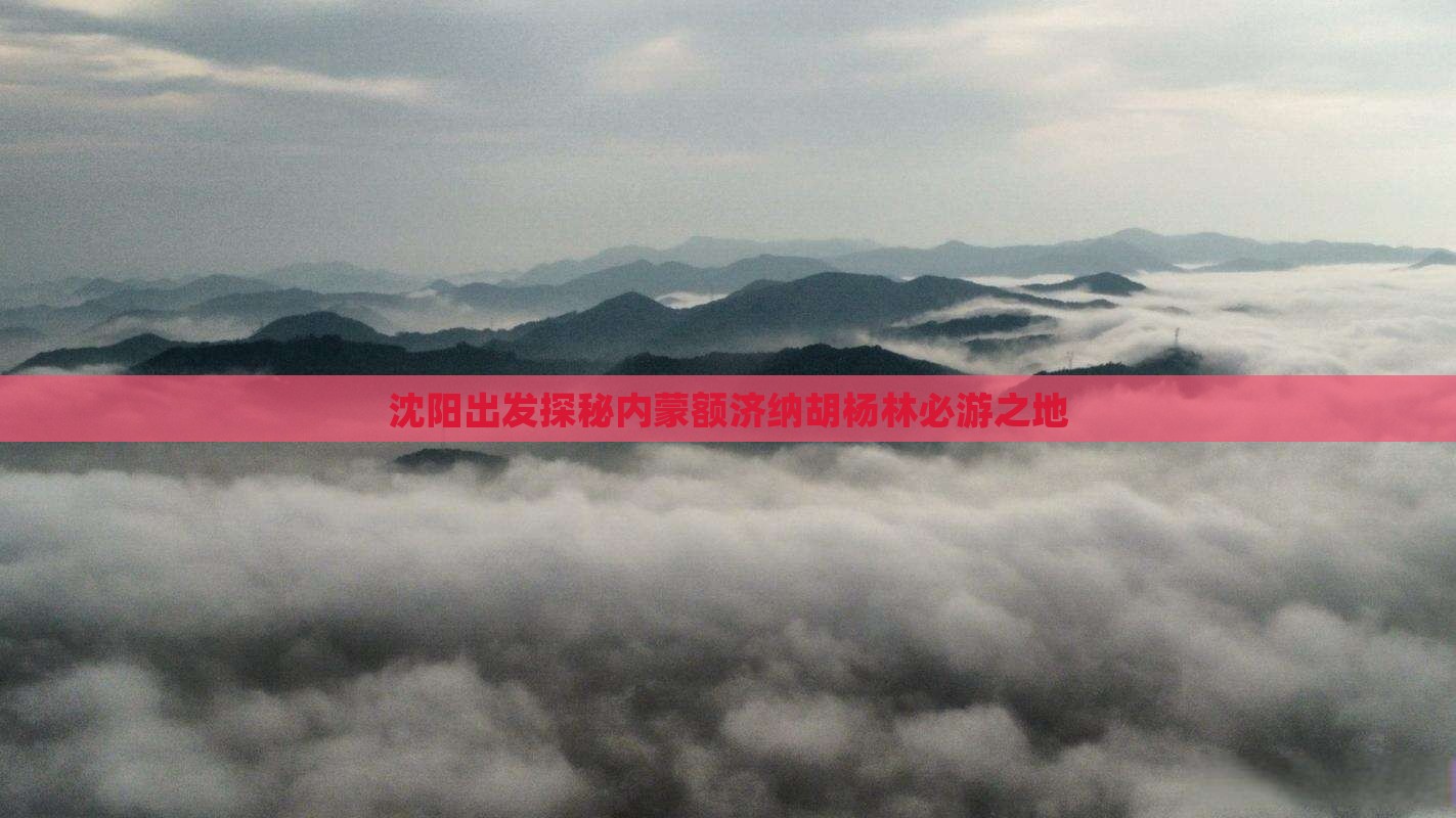 沈阳出发探秘内蒙额济纳胡杨林必游之地