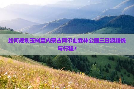 如何规划玉树至内蒙古阿尔山森林公园三日游路线与行程？