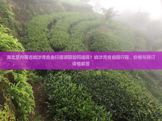 海北至内蒙古响沙湾自由行旅游团如何选择？响沙湾自由团行程、价格与预订详情解答