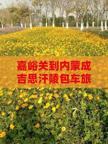 嘉峪关到内蒙成吉思汗陵包车旅游