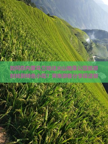 如何在内蒙乌兰哈达火山地质公园旅游时找到特色小吃？黄南游客分享探店新体验！