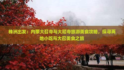 株洲出发：内蒙大召寺与大昭寺旅游美食攻略，探寻两地小吃与大召美食之旅