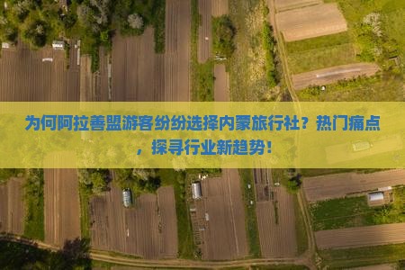 为何阿拉善盟游客纷纷选择内蒙旅行社？热门痛点，探寻行业新趋势！
