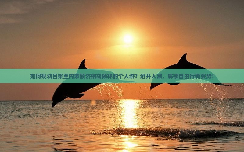 如何规划吕梁至内蒙额济纳胡杨林的个人游？避开人潮，解锁自由行新姿势！