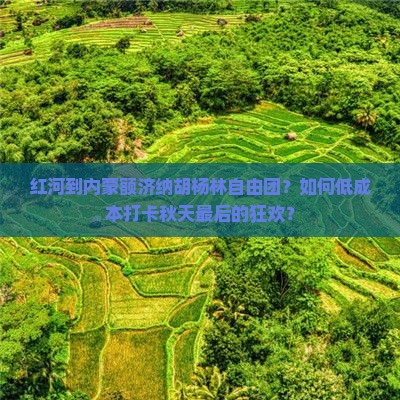 红河到内蒙额济纳胡杨林自由团？如何低成本打卡秋天最后的狂欢？