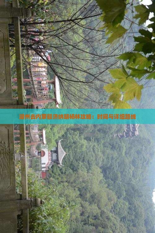 湖州去内蒙额济纳胡杨林攻略：时间与详细路线
