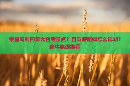 秦皇岛到内蒙大召寺景点？自驾游路线怎么规划？途牛旅游推荐