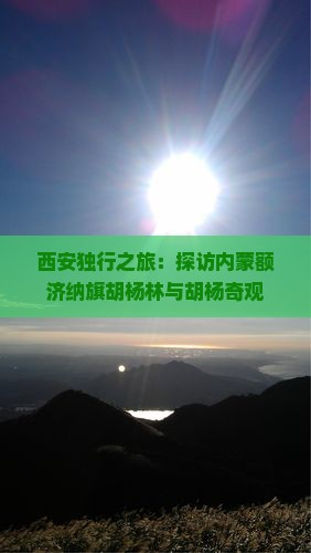 西安独行之旅：探访内蒙额济纳旗胡杨林与胡杨奇观