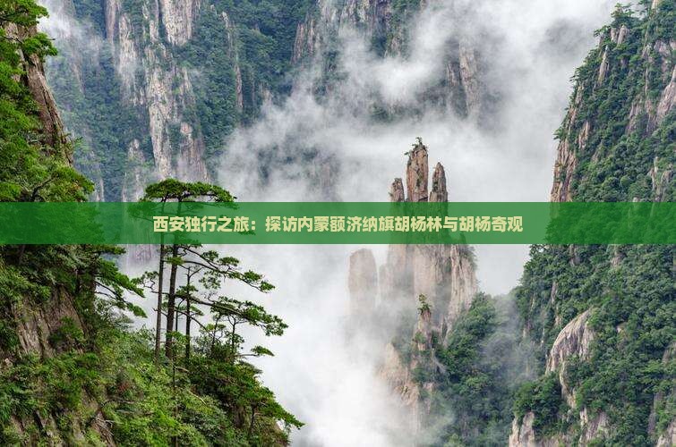 西安独行之旅：探访内蒙额济纳旗胡杨林与胡杨奇观