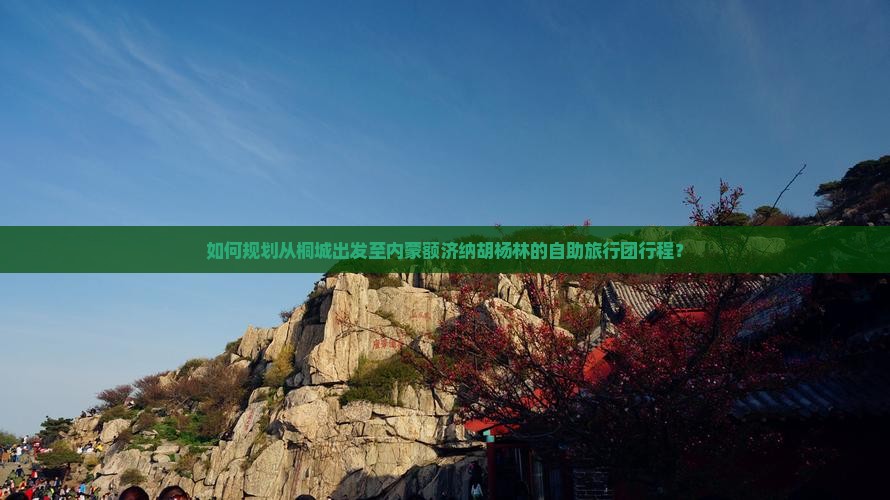 如何规划从桐城出发至内蒙额济纳胡杨林的自助旅行团行程？