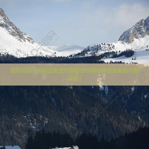 如何规划从桐城出发至内蒙额济纳胡杨林的自助旅行团行程？