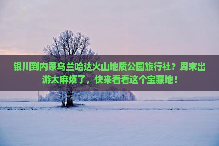 银川到内蒙乌兰哈达火山地质公园旅行社？周末出游太麻烦了，快来看看这个宝藏地！