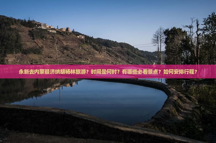 永新去内蒙额济纳胡杨林旅游？时间是何时？有哪些必看景点？如何安排行程？