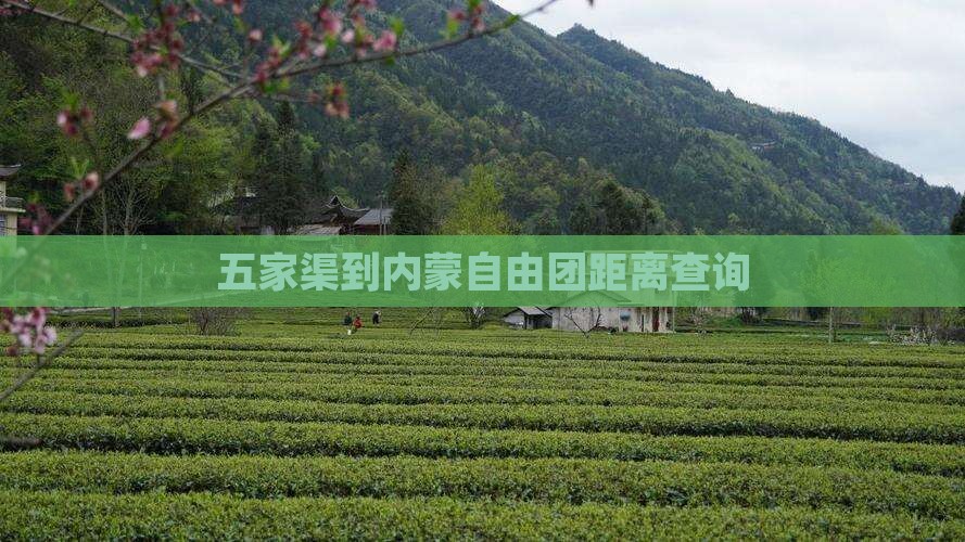 五家渠到内蒙自由团距离查询