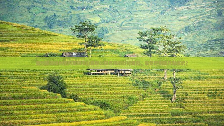 如何解决泉州至内蒙阿尔山森林公园自由团出行难题，享受定制旅行新体验？