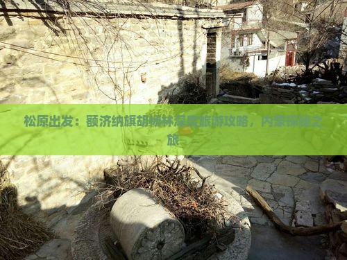 松原出发：额济纳旗胡杨林深度旅游攻略，内蒙探秘之旅