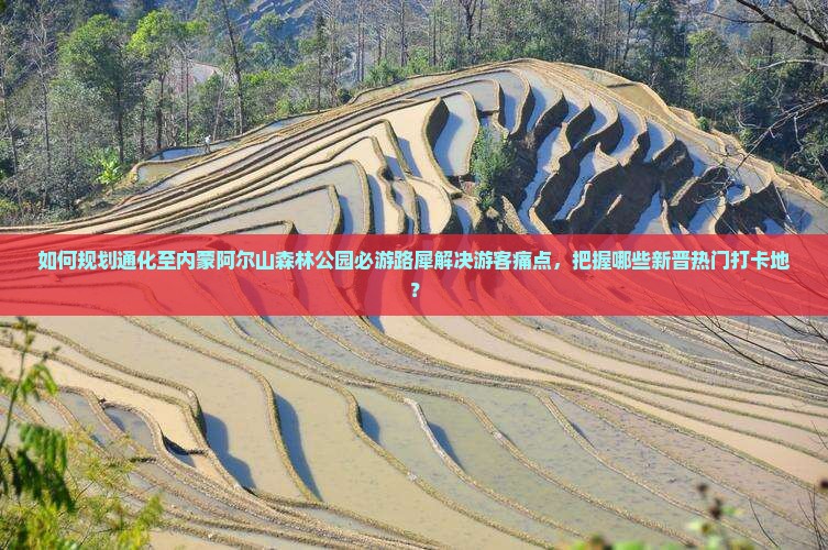 如何规划通化至内蒙阿尔山森林公园必游路犀解决游客痛点，把握哪些新晋热门打卡地？